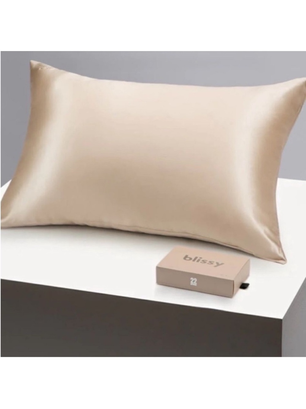 Blissy 100% Silk Zip Pillowcase Champagne Cream Standard 19"x25"